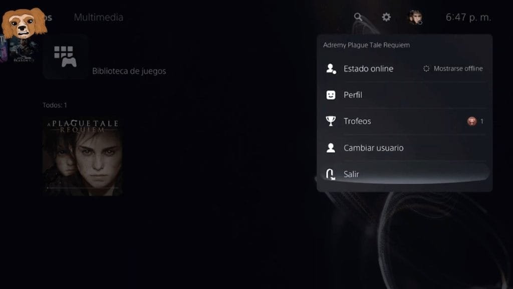 Usuario personal PS5