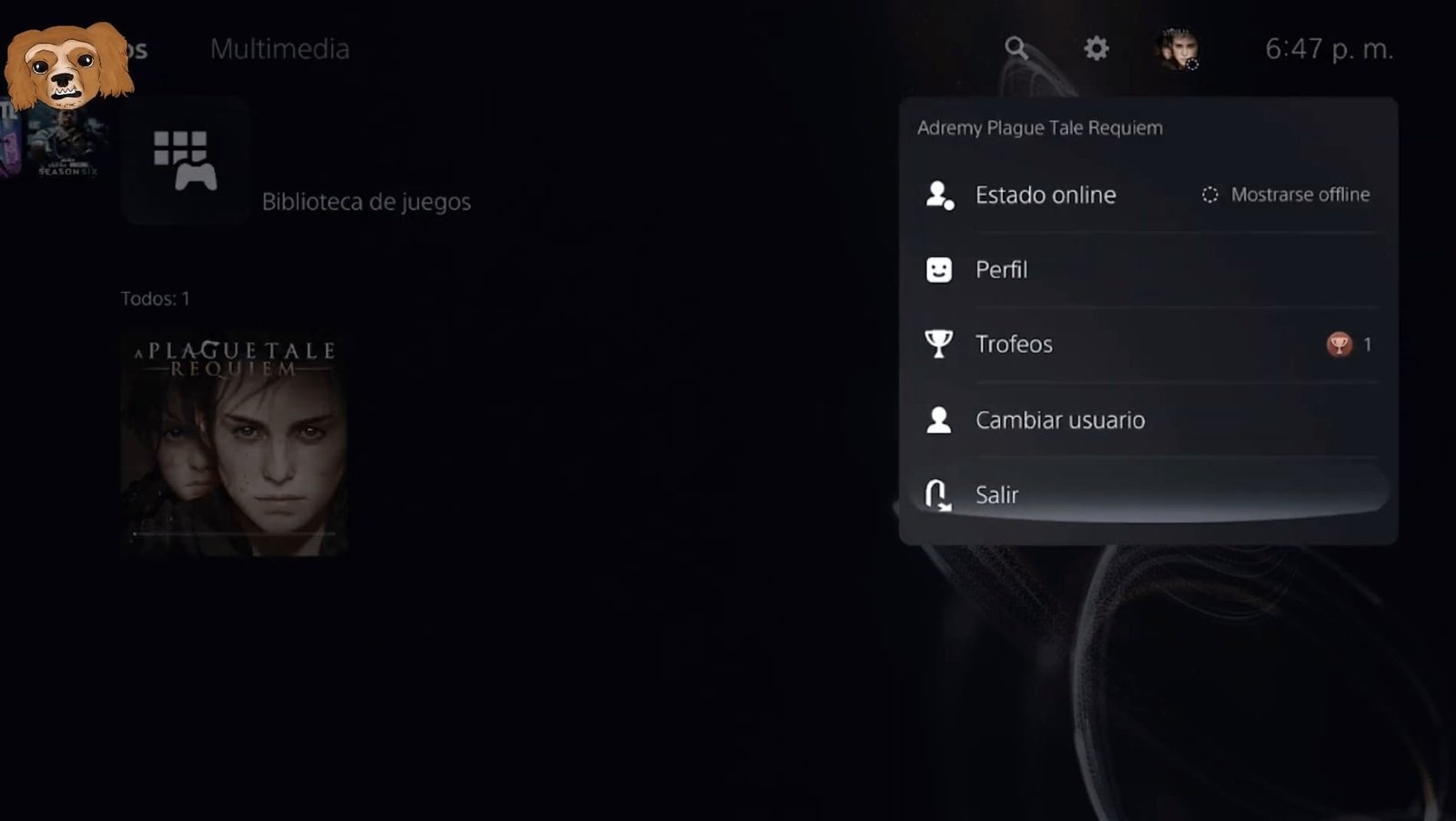 Salir del usuario PS5