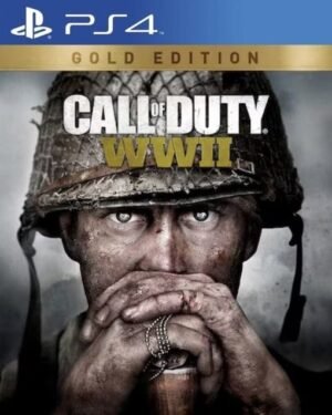 Call of Duty WWII Gold Edition (Play Station 4)