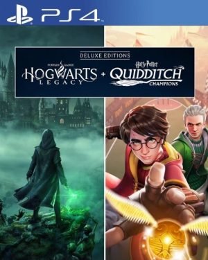 hogwarts legacy