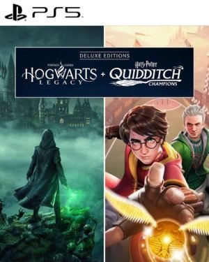hogwarts legacy
